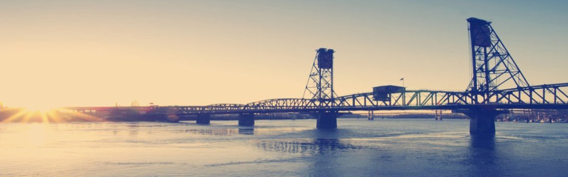 Search Engine Visibility Services