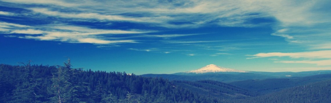 Search Engine Visibility Services