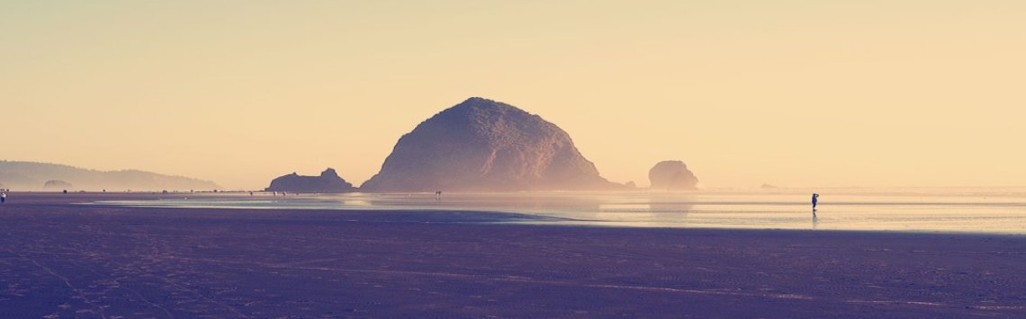 Search Engine Visibility Services