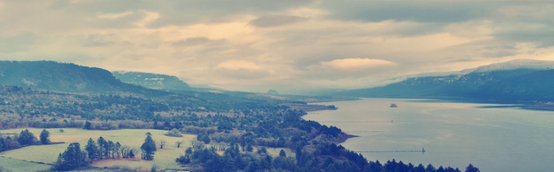 Search Engine Visibility Services